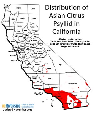 California