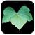 invasive plants app logo